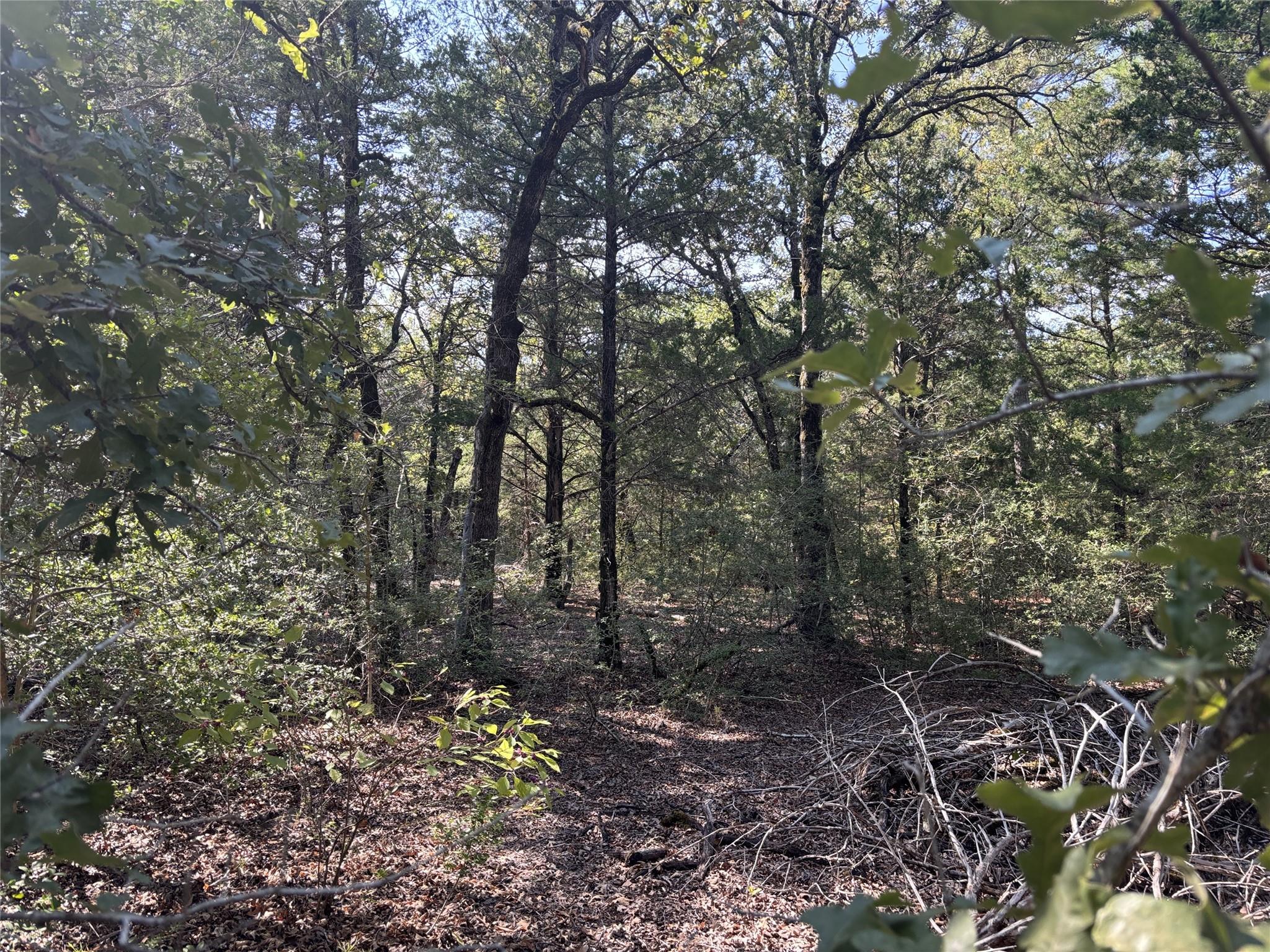 667 Paint Creek South Road