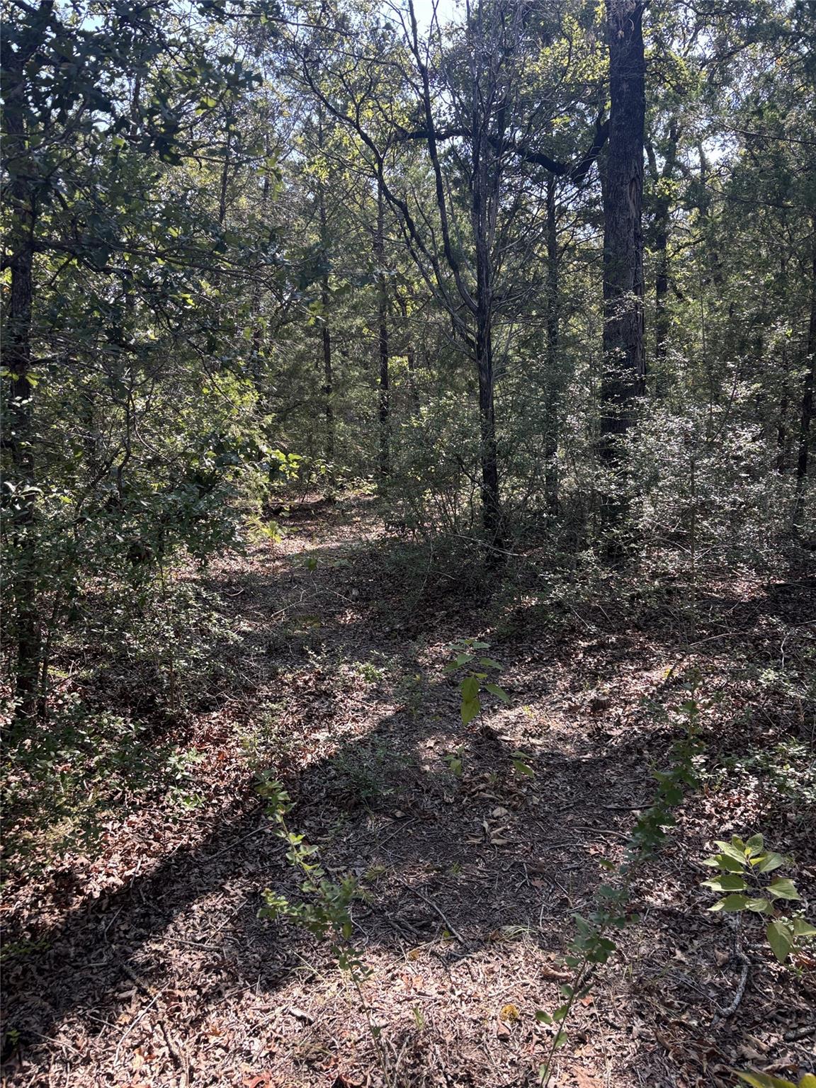667 Paint Creek South Road