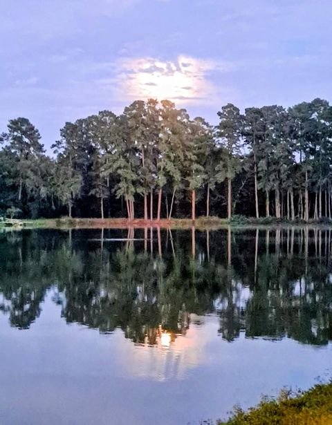 Photo of 26420 Leisure Ln Lane, Magnolia, TX 77355 (MLS # 72442927)