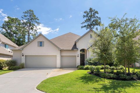 Photo of 231 Twilight Toast Drive, Conroe, TX 77304 (MLS # 12868786)