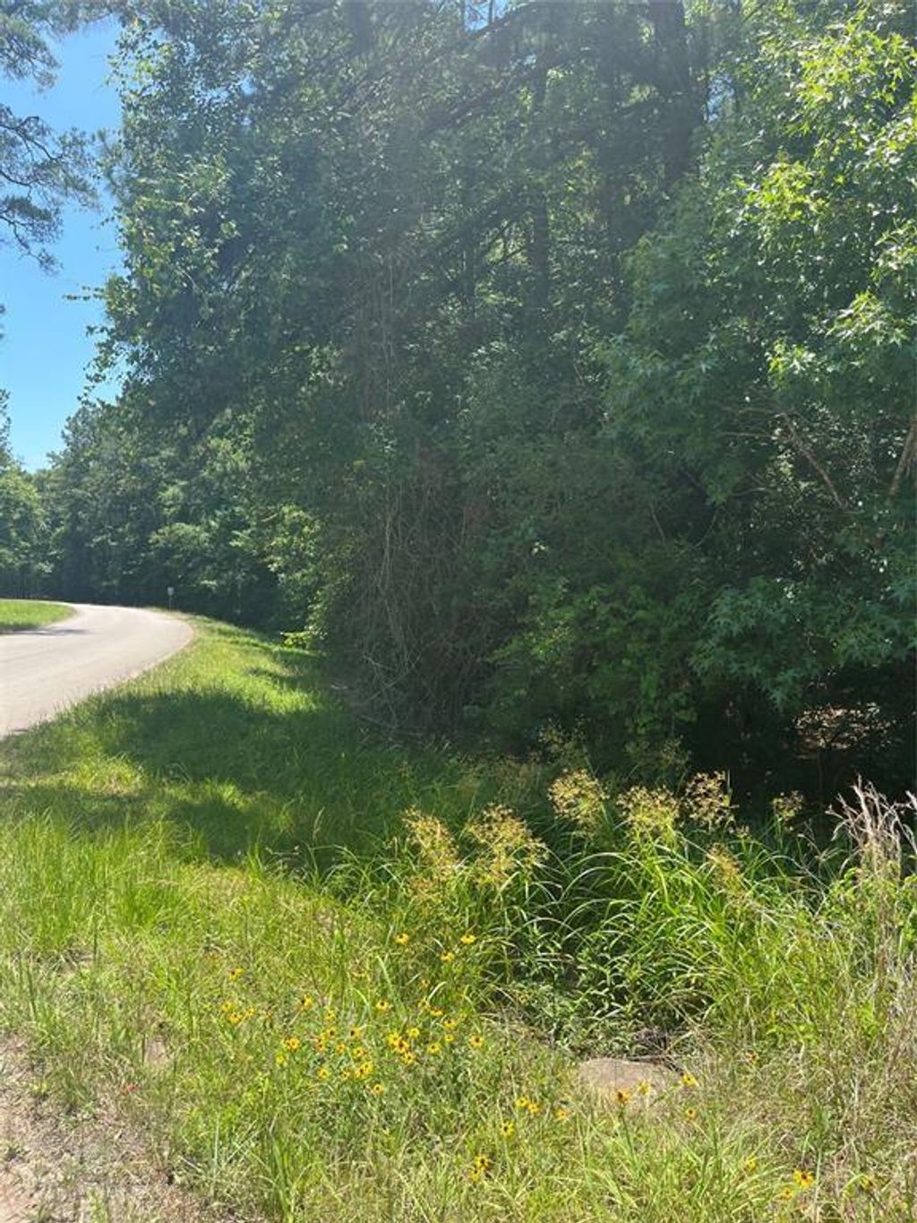 Photo of 0 Appian Way, Roman Forest, TX 77357 (MLS # 95476183)