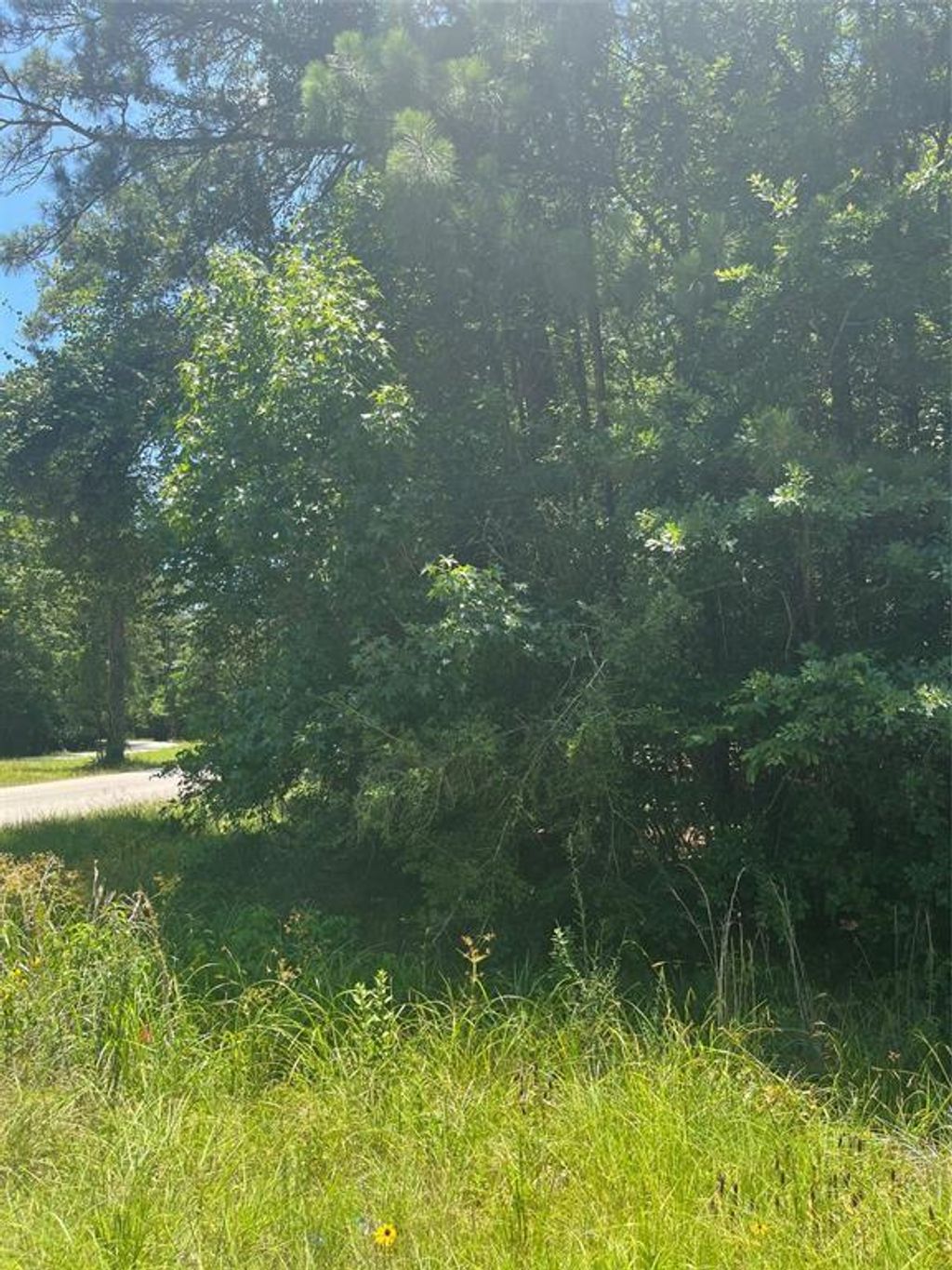 Photo of 0 Appian Way, Roman Forest, TX 77357 (MLS # 95476183)