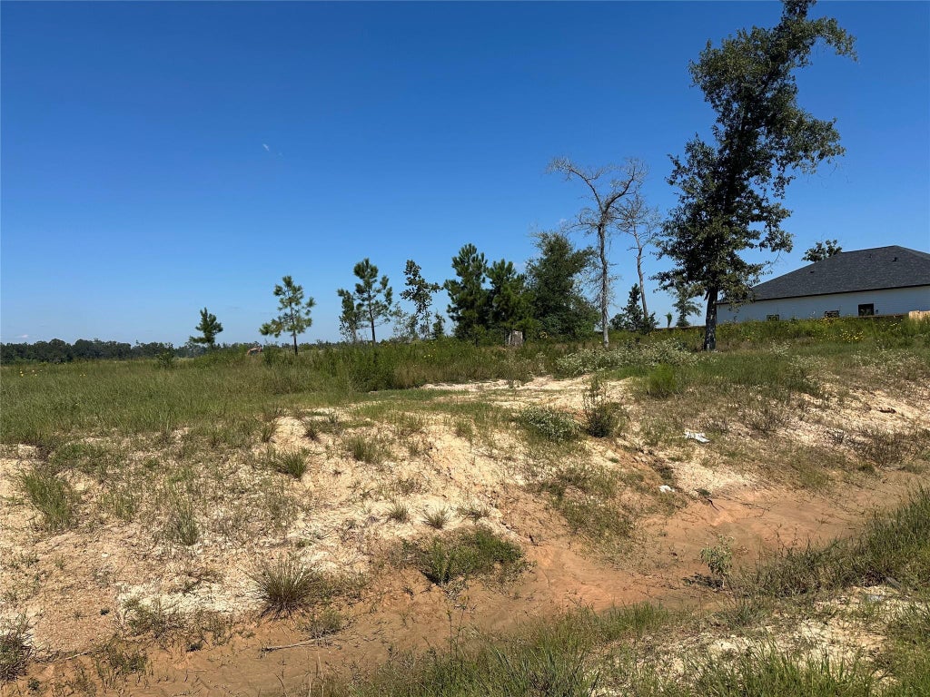 Photo of 1025 Exotic Pine Street, Huffman, TX 77336 (MLS # 73988952)