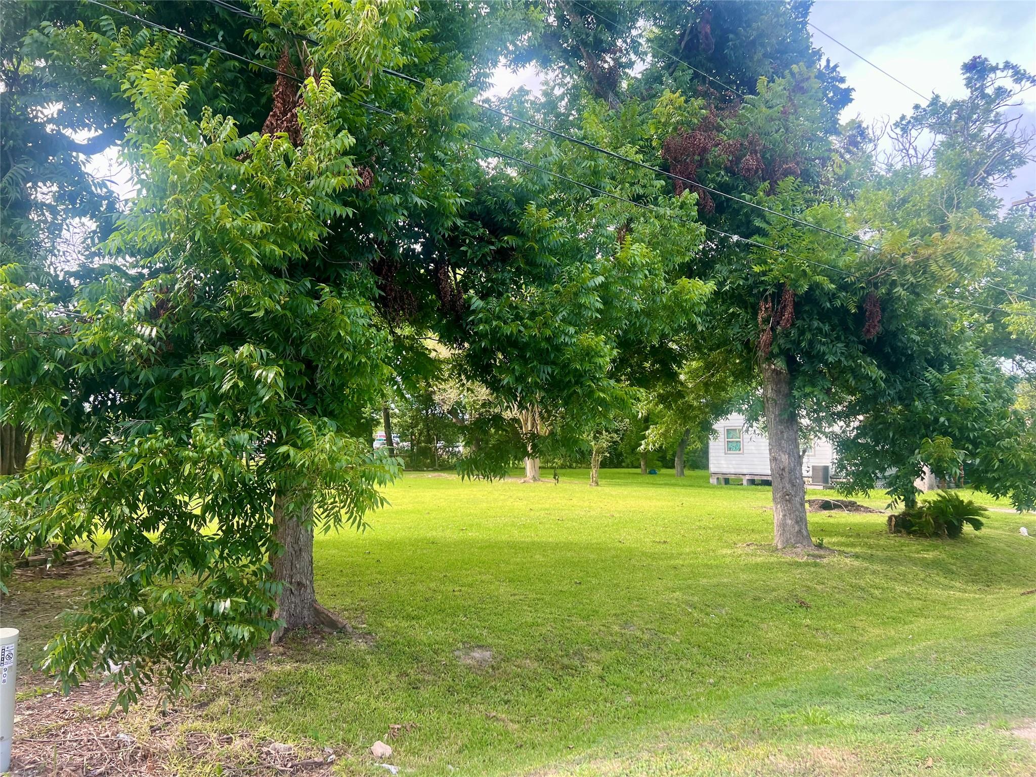 909 Cedar Drive