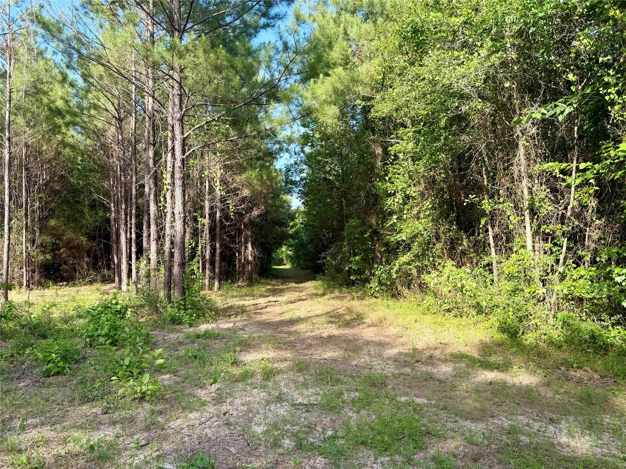 4419 Menard Chapel Road E