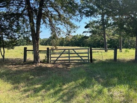 Photo of 1549 County Road 1650 Road, Grapeland, TX 75844 (MLS # 29441392) Photo of 1549 County Road 1650 Road, Grapeland, TX 75844 (MLS # 29441392)