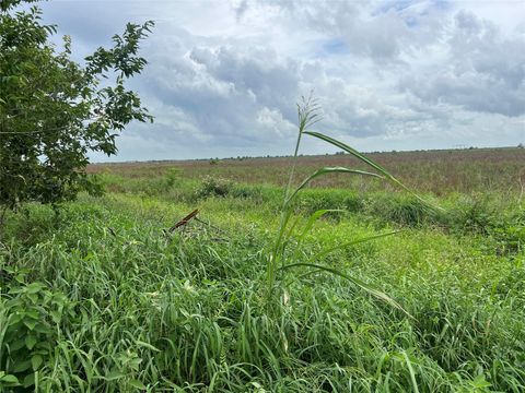 Photo of 0 Beal Road, Eagle Lake, TX 77434 (MLS # 66839084) Photo of 0 Beal Road, Eagle Lake, TX 77434 (MLS # 66839084)