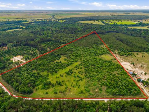 Photo of 2564 Pr 8160, Lovelady, TX 75851 (MLS # 26120161)