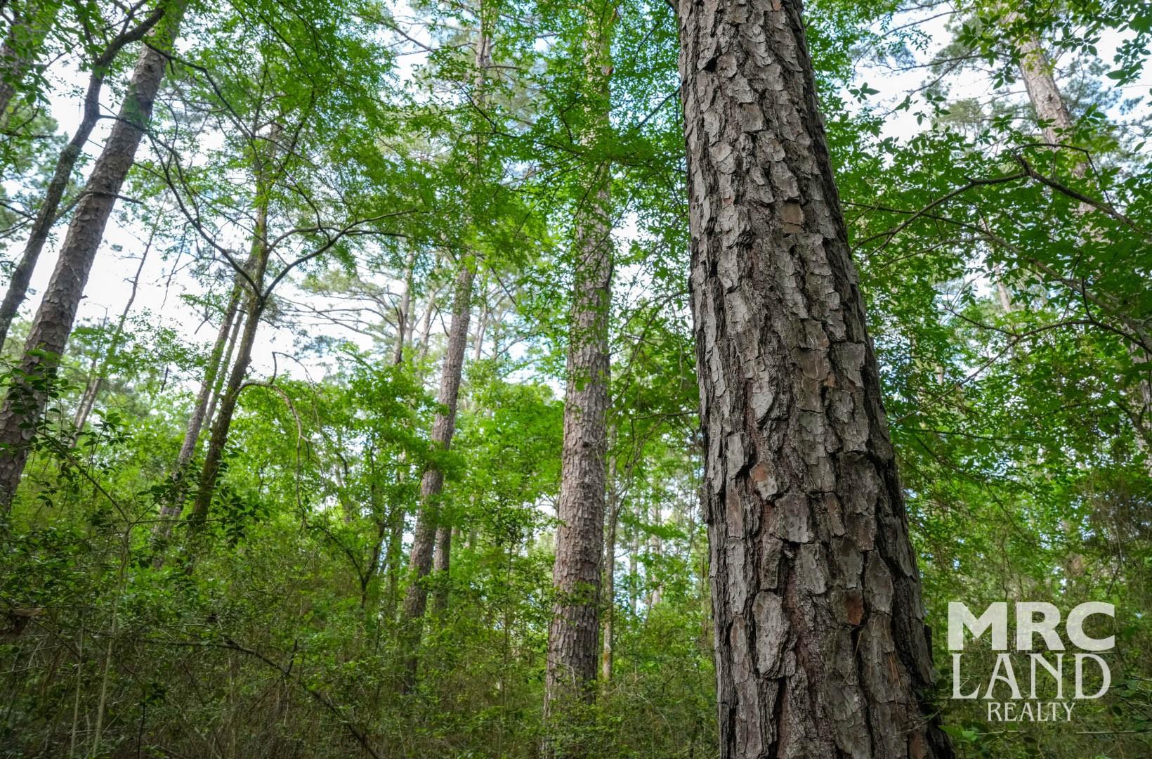 00 Farm To Market 357