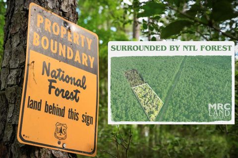 Vacant Land For Sale - 00 Farm To Market 357<br/> Houston County, Kennard, TX 75847