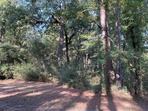 Vacant Land For Sale - 00 Piping Rock<br/> Trinity, TX 75862