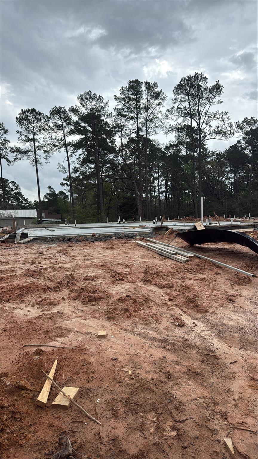 16859 Deep Wingbat Way