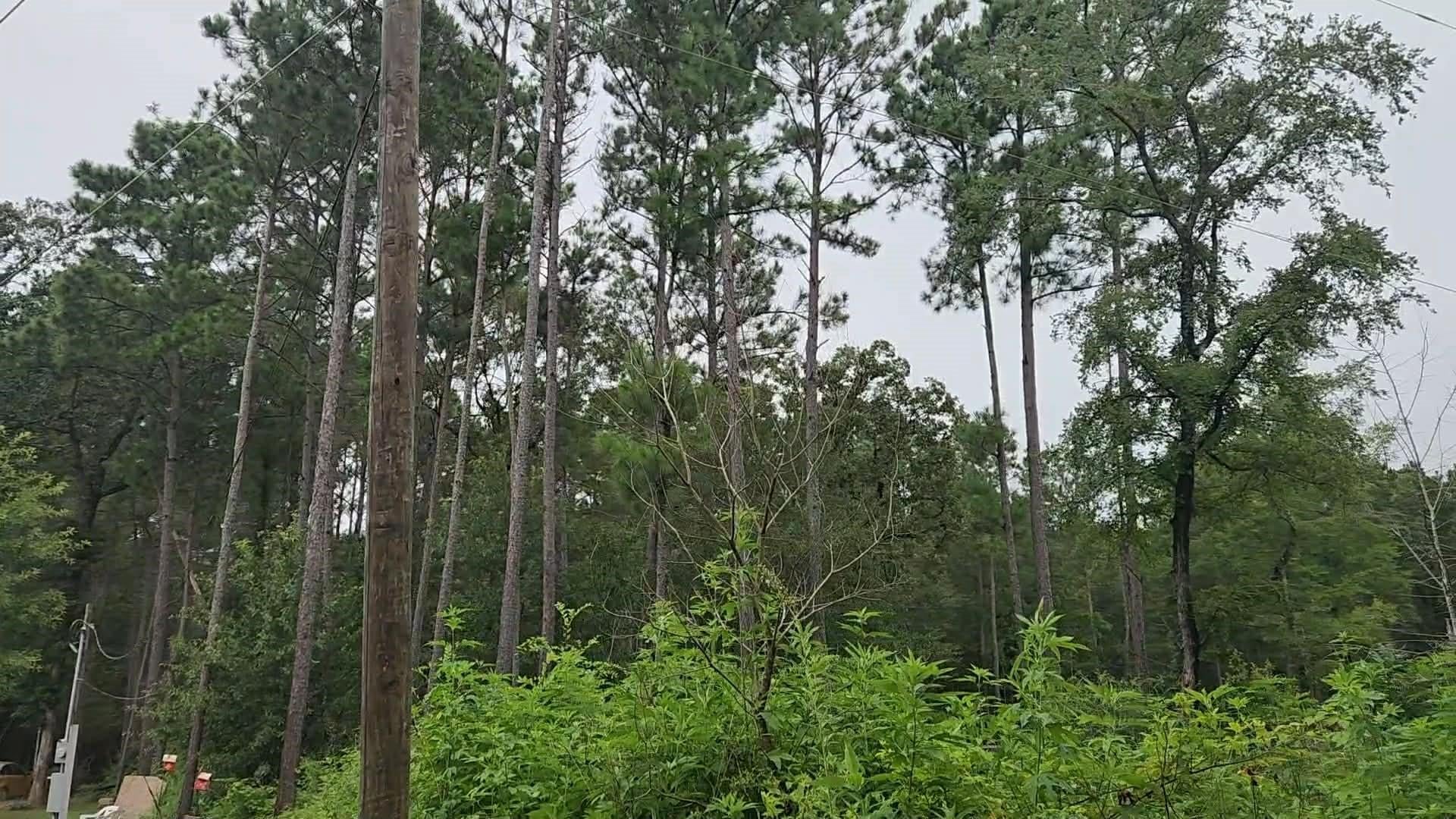 Lot 11 Scarlet Oak Drive