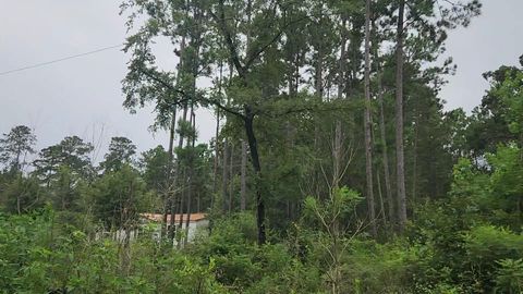 Photo of 11 Scarlet Oak Drive, Plantersville, TX 77363 (MLS # 4239100)