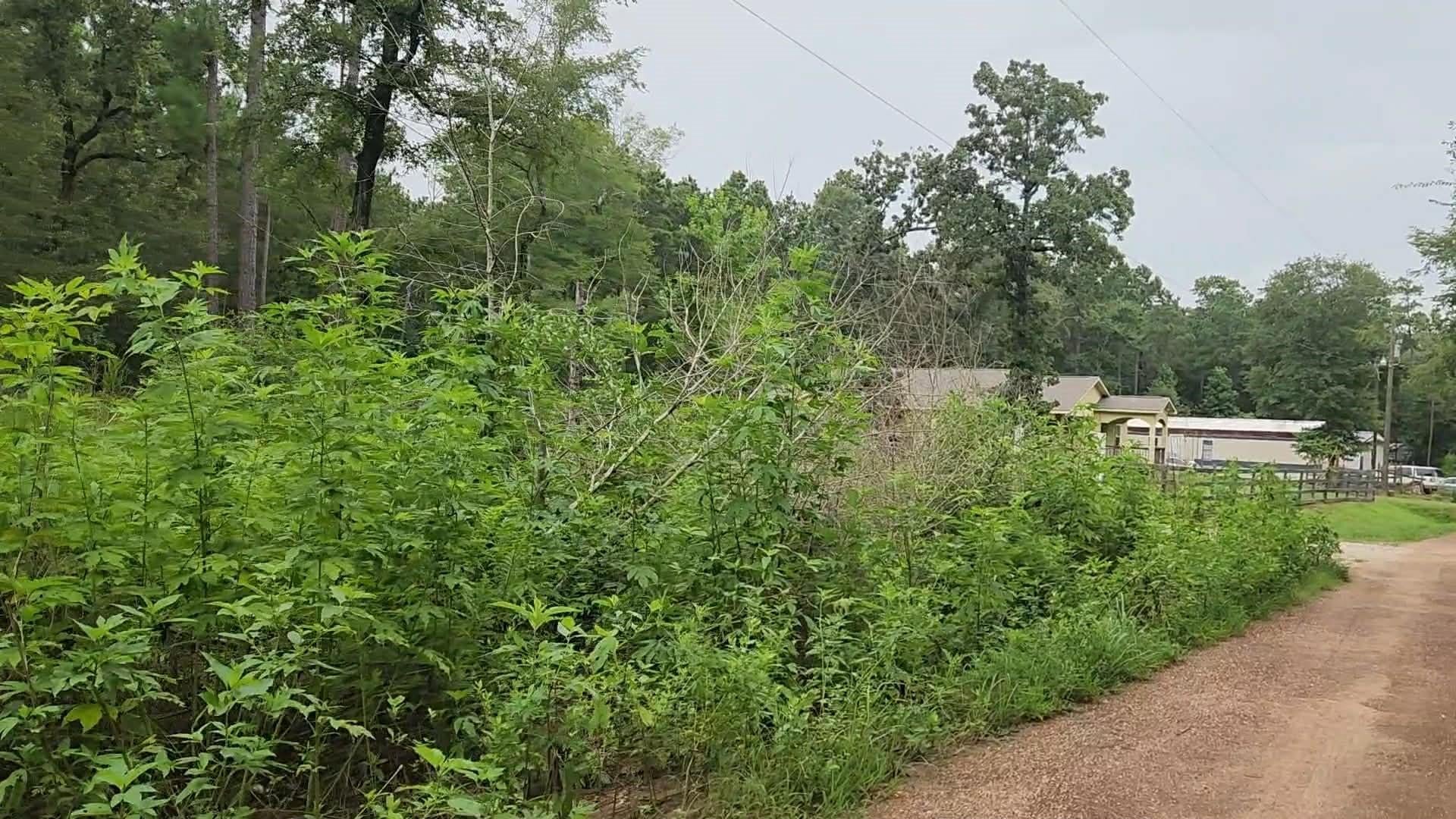 Lot 11 Scarlet Oak Drive