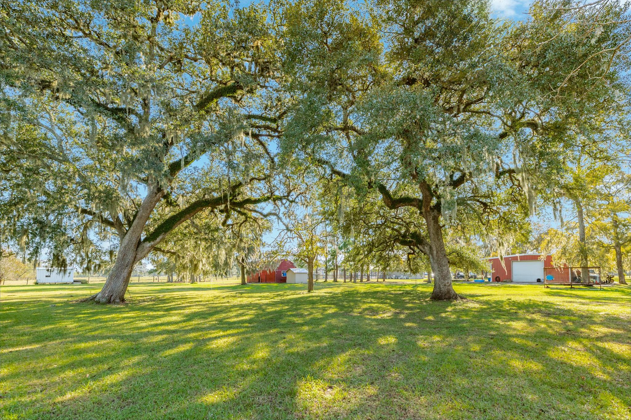 1133 Fm 1459 Road