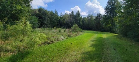 Vacant Land For Sale - 1325 County Road 2650<br/> Liberty County, Rye, TX 77369