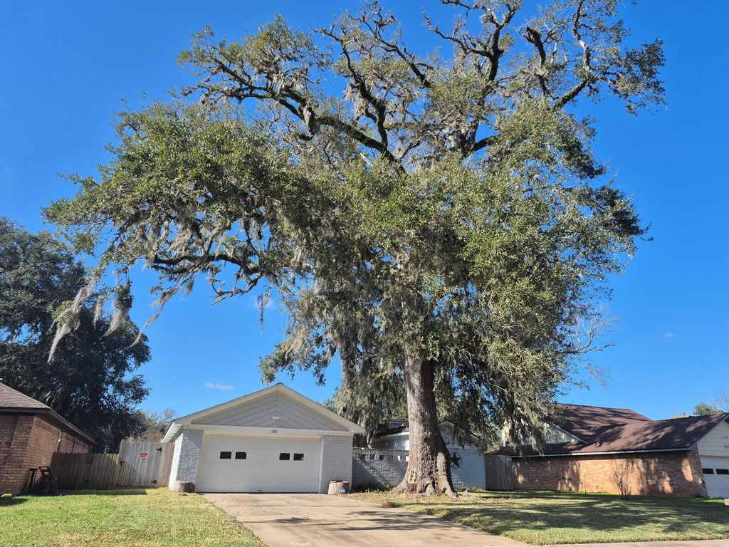 Photo of 133 Spanish Moss Lane, Lake Jackson, TX 77566 (MLS # 90642402)