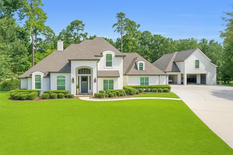 28610 Pinnacle Point Place Spring TX 77386