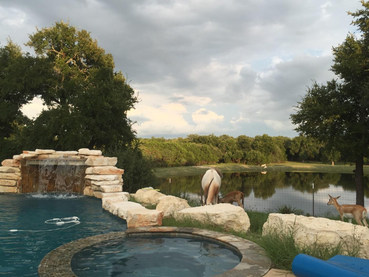 6101 County Road 208