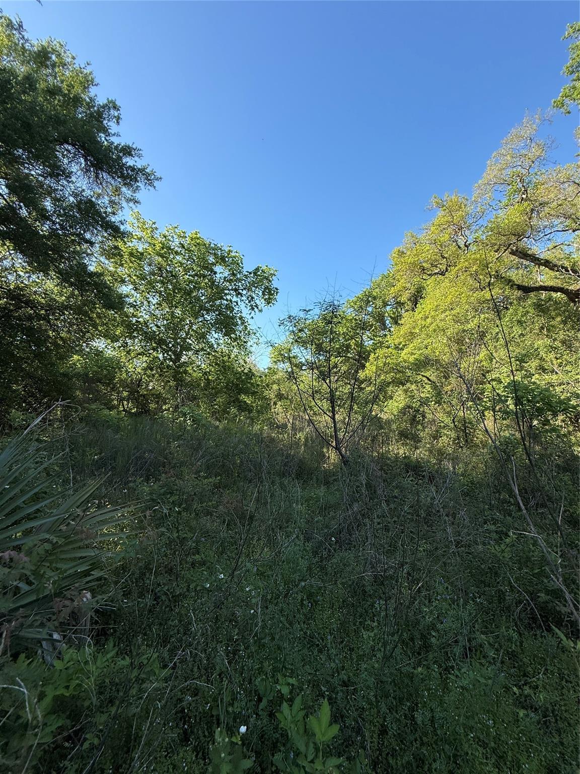 25 Acres Ramblewood Road