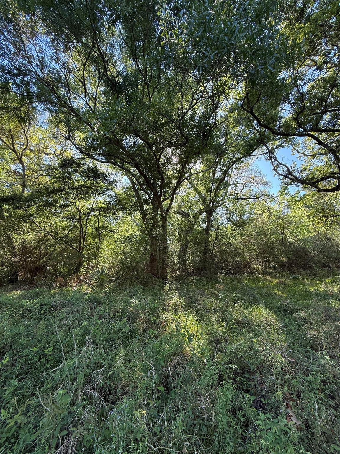 25 Acres Ramblewood Road