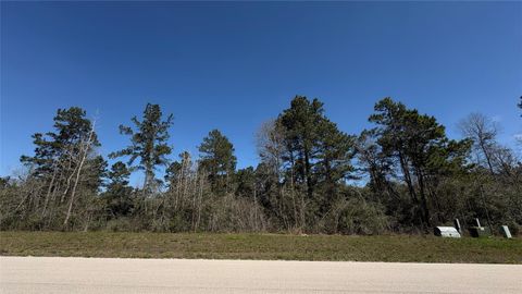 Photo of 126 Great Plains Way, New Waverly, TX 77358 (MLS # 3747302)