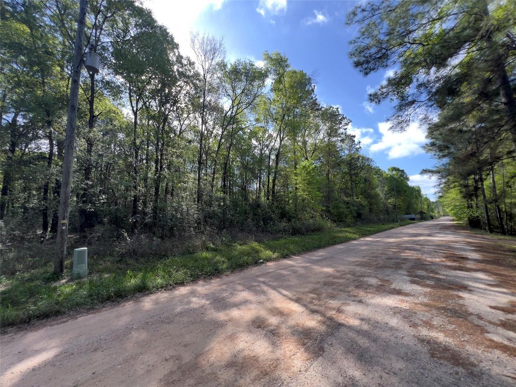 Photo of 19109 Bedford, New Caney, TX 77357 (MLS # 29558522)