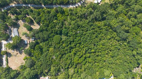 1031 Morris Creek Road Coldspring TX 77331