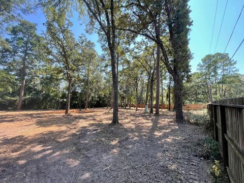 Vacant Land For Sale - 16020 N Loop Drive<br/> Plantersville, TX 77363