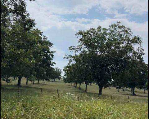 Tract #2 Fm 2548 Midway TX 75852
