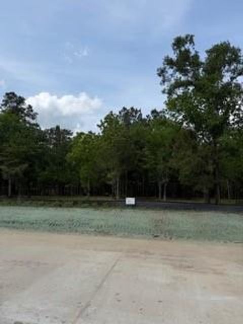 Photo of 139777 Capital Creek Ranch Boulevard, Willis, TX 77378 (MLS # 47698609)