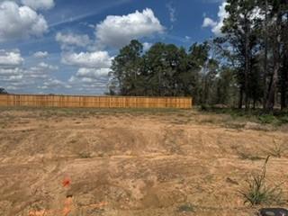 Homes For Sale - 3063 Grand Willow Drive<br/> Conroe, TX 77301
