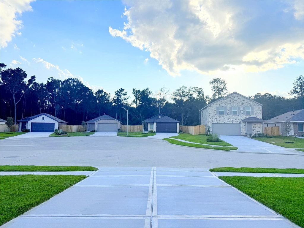 Photo of 17941 Valle Cupa Ln Ln, New Caney, TX 77357 (MLS # 58681242)