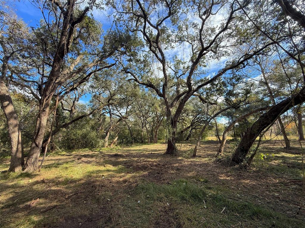 Photo of 0 Cr 376, West Columbia, TX 77422 (MLS # 92644727)