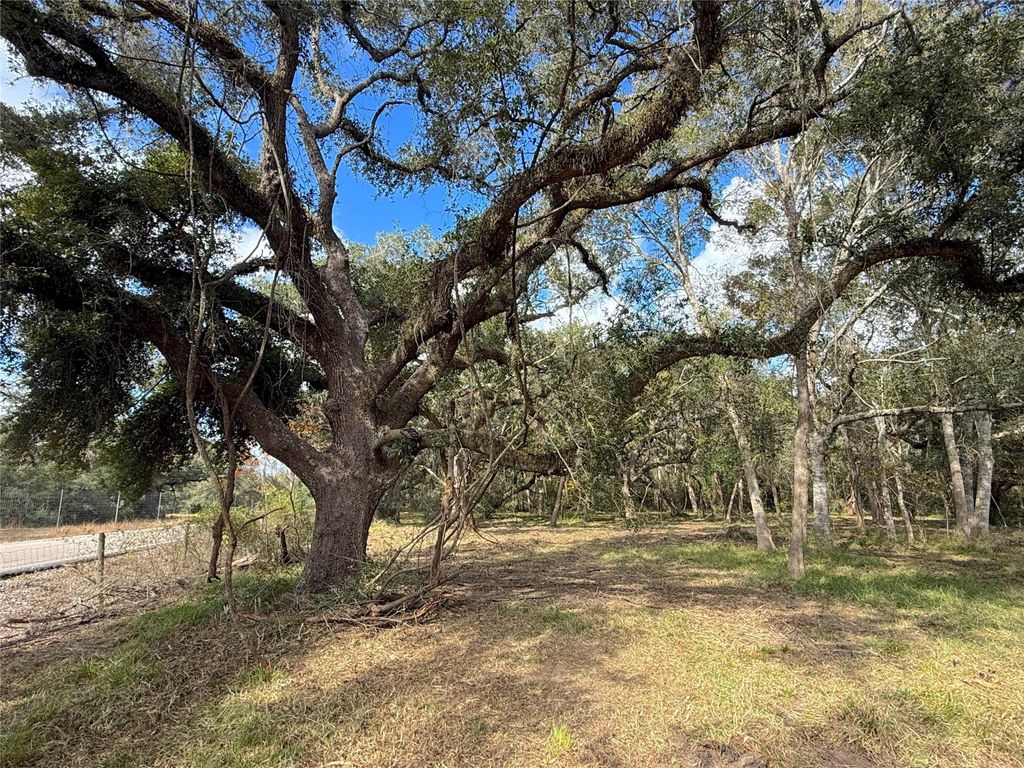 Photo of 0 Cr 376, West Columbia, TX 77422 (MLS # 92644727)