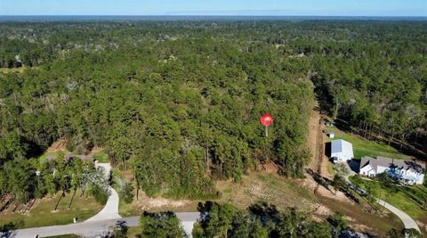 Vacant Land For Sale - 435 County Road 6324<br/> Dayton, TX 77535