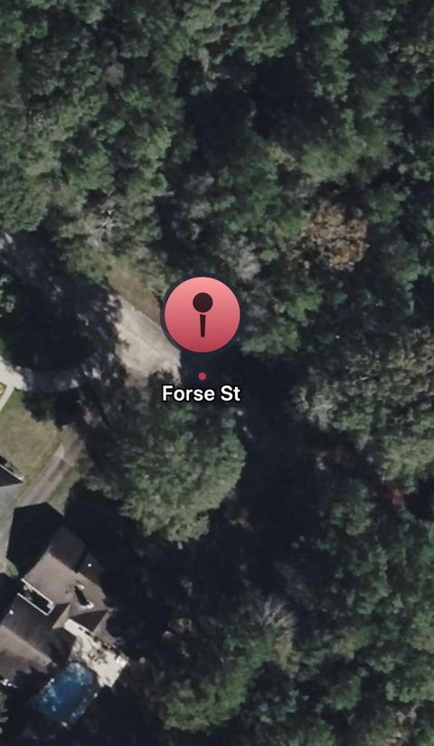 Photo of TBD Forse Street, Woodville, TX 75979 (MLS # 22760066)