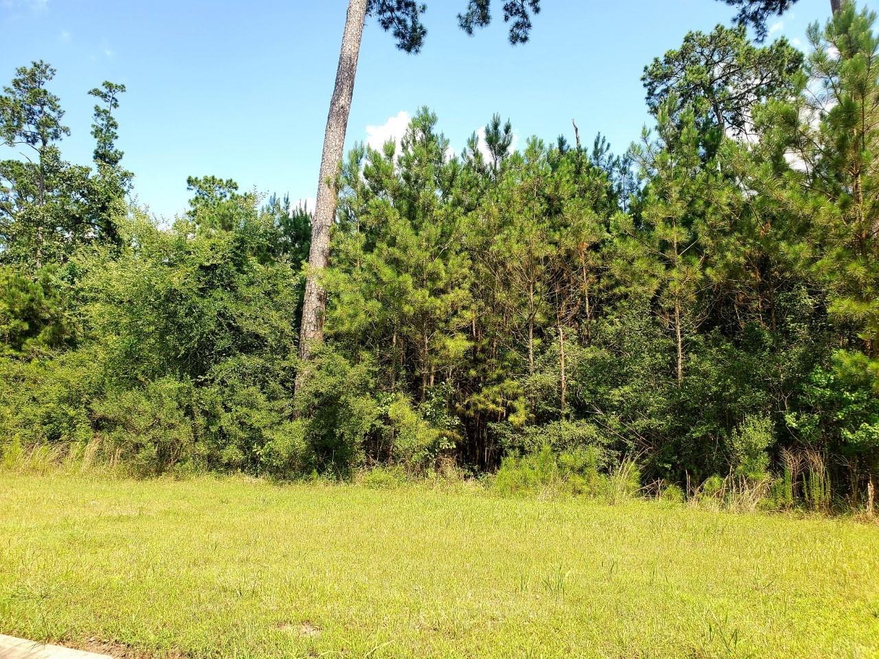 113 Kings Lake Estates Boulevard