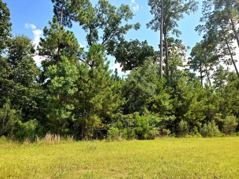 Vacant Land For Sale - 113 Kings Lake Estates Boulevard<br/> Harris County, Humble, TX 77346