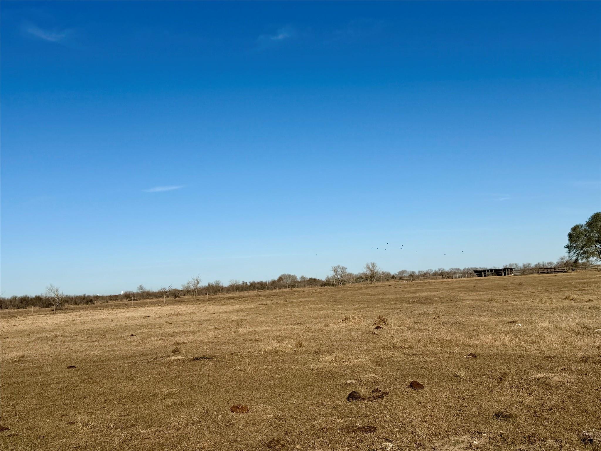 3831 County Road 408