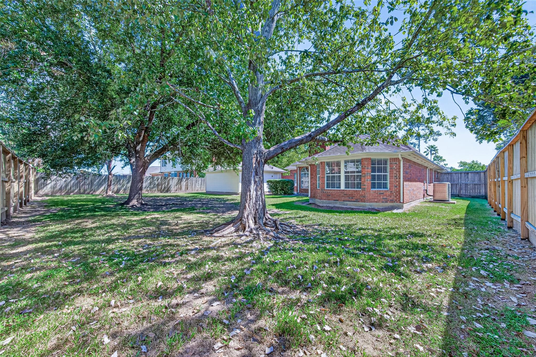 1206 Buttonwood Drive
