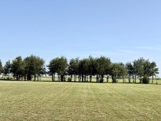 7490 Fm 2546 Road 7500
