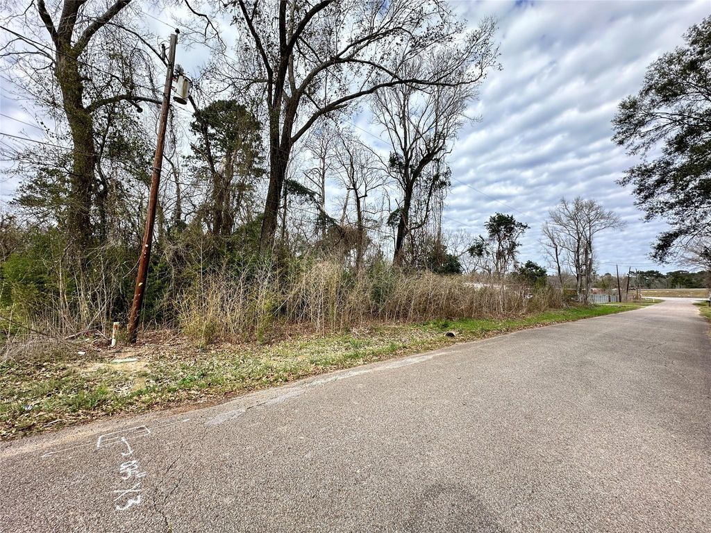 Photo of 6 Idle Glen Roadway, New Caney, TX 77357 (MLS # 27595778)