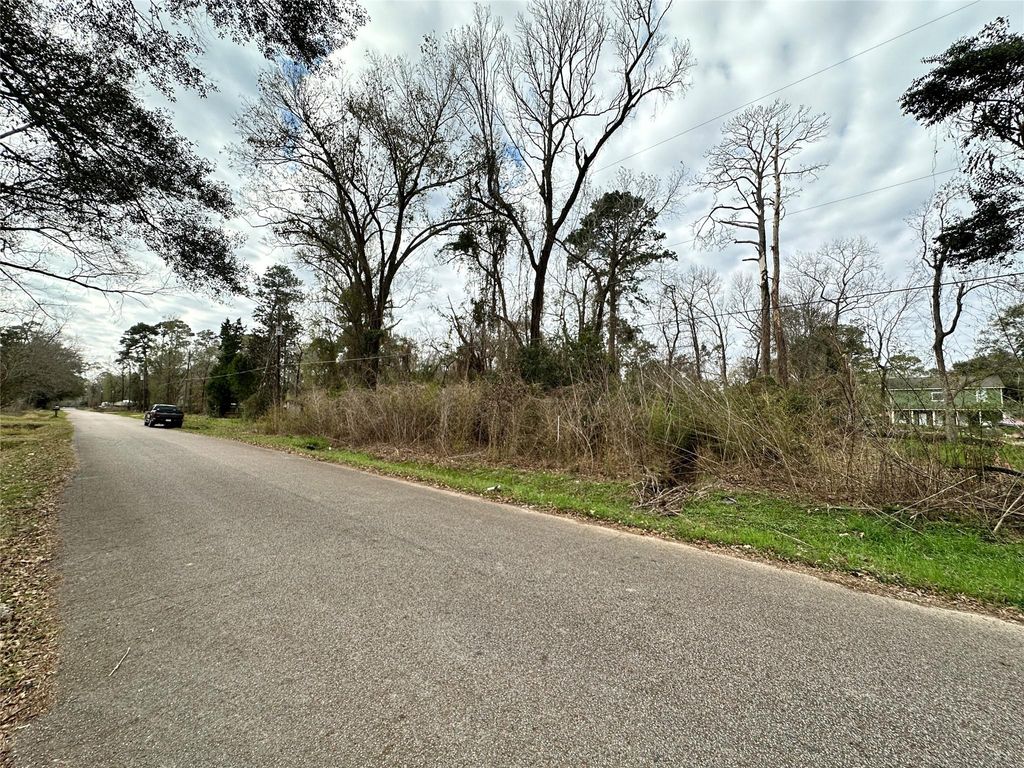Photo of 6 Idle Glen Roadway, New Caney, TX 77357 (MLS # 27595778)