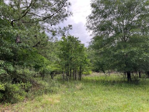 Photo of 20 English Rd Road, Bedias, TX 77831 (MLS # 9488836)