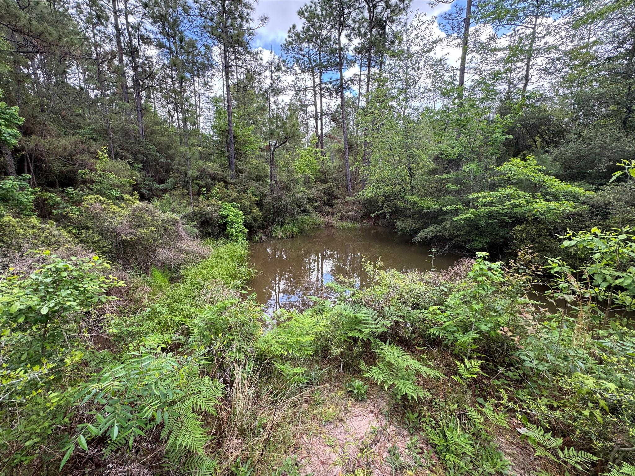 189 Sweet Magnolia Lane