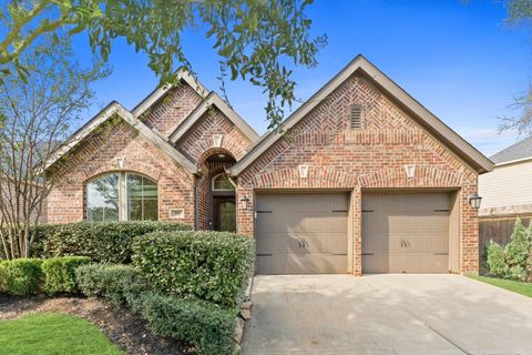 194 Kinnerly Peak Place Montgomery TX 77316
