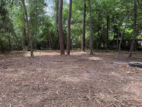 Photo of 27007 Seahorse Lane, Magnolia, TX 77355 (MLS # 29496049)