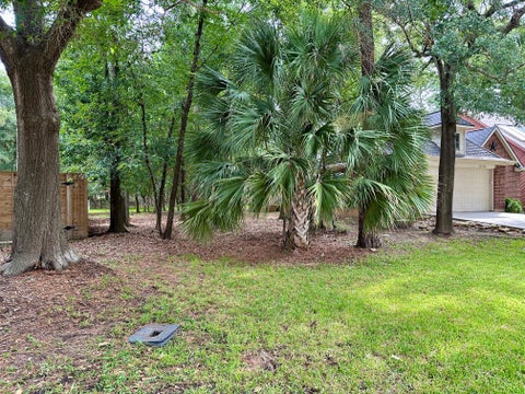 Vacant Land For Sale - 11534 Twain Drive<br/> Montgomery, TX 77356